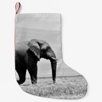GRAYSCALE PHOTOGRAPHY OF ELEPHANT