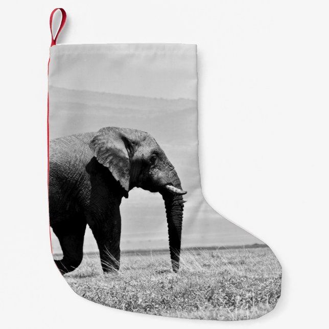 GRAYSCALE PHOTOGRAPHY OF ELEPHANT SMALL CHRISTMAS STOCKING (Front)