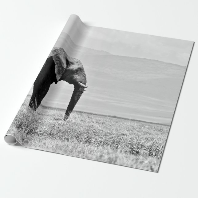 GRAYSCALE PHOTOGRAPHY OF ELEPHANT WRAPPING PAPER (Unrolled)