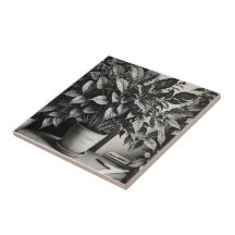 Grayscale pot plant with huge leaves