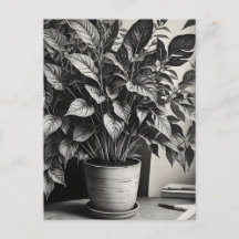 Grayscale pot plant with huge leaves