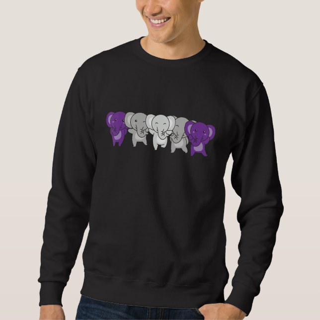 Graysexual Flag Pride Month Lgbtq Graysexual Eleph Sweatshirt (Front)