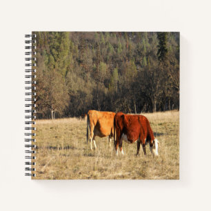 Grazin'.... Notebook