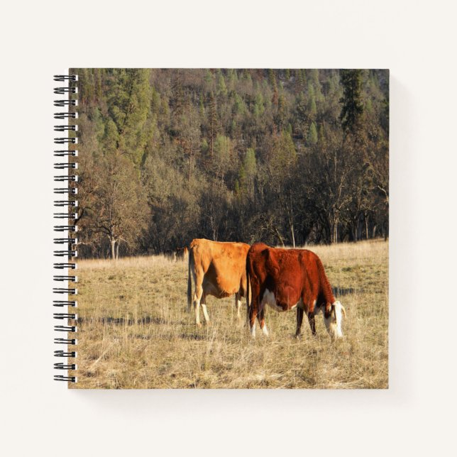 Grazin'.... Notebook (Front)