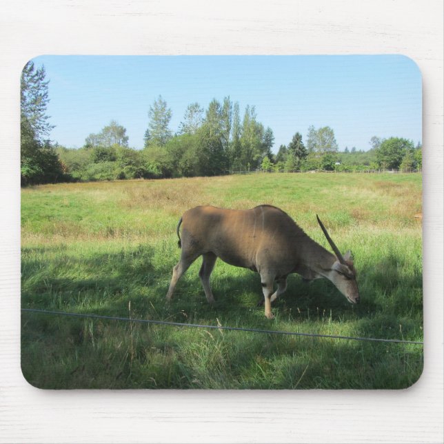 Grazing Antelope Mouse Pad (Front)