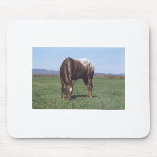 Grazing Appaloosa Mouse Pad (Front)