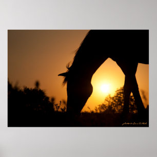 Grazing at Sunrise Poster