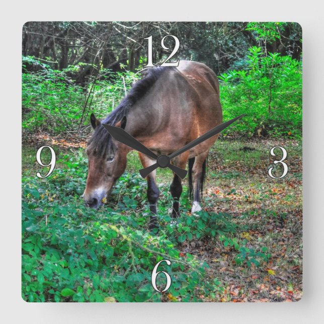 Grazing Bay Pony Equine Photo Horse-lovers Square Wall Clock (Front)