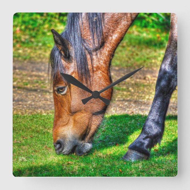 Grazing Bay Pony Equine Photo Horse-lovers Square Wall Clock (Front)