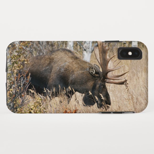 Grazing Bull Moose Case-Mate iPhone Case (Back (Horizontal))