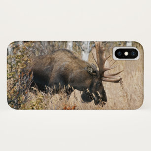 Grazing Bull Moose iPhone X Case