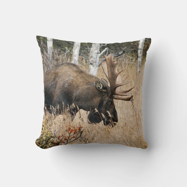 Grazing Bull Moose Cushion (Front)