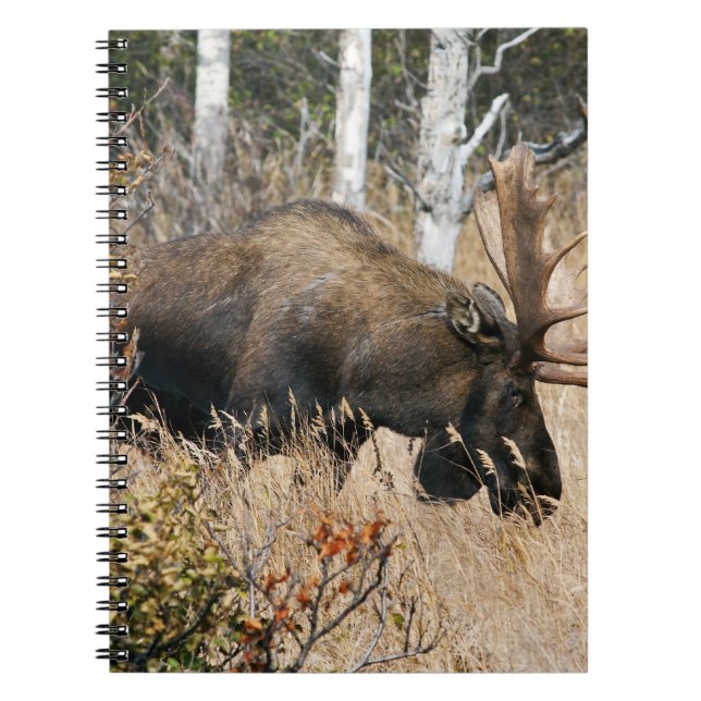 Grazing Bull Moose Notebook (Front)