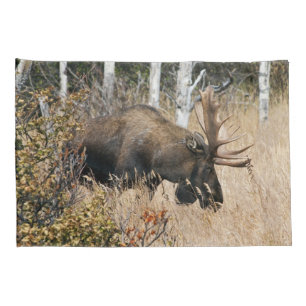 Grazing Bull Moose Pillowcase