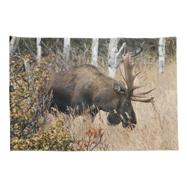 Grazing Bull Moose Pillowcase (Back-Right)