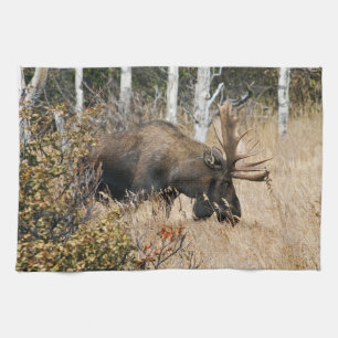 Grazing Bull Moose Tea Towel