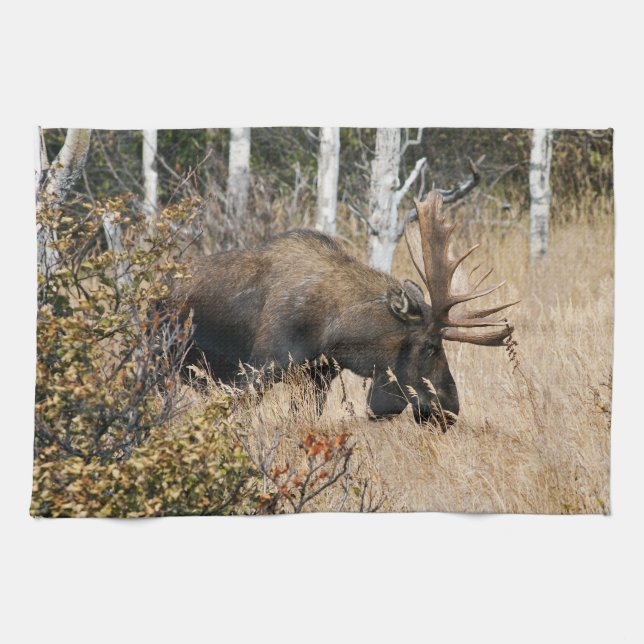 Grazing Bull Moose Tea Towel (Horizontal)