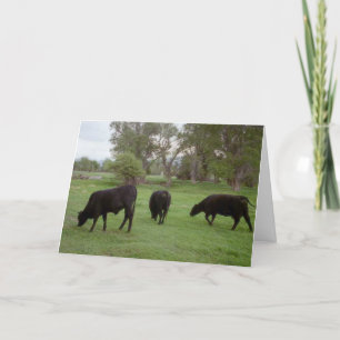 Grazing Cattle v1 Thank You Card
