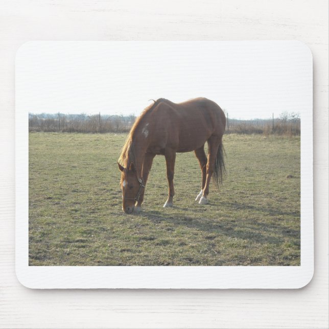 Grazing Chestnut Colour Horse Mouse Pad (Front)