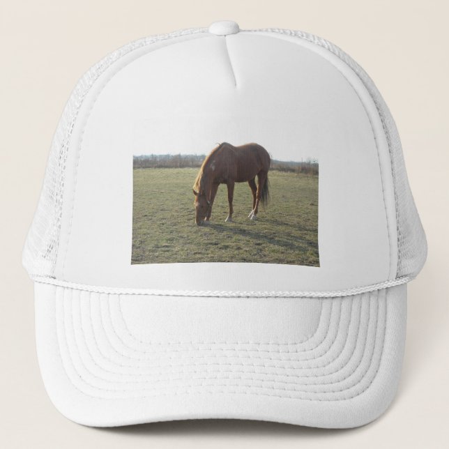 Grazing Chestnut Colour Horse Trucker Hat (Front)