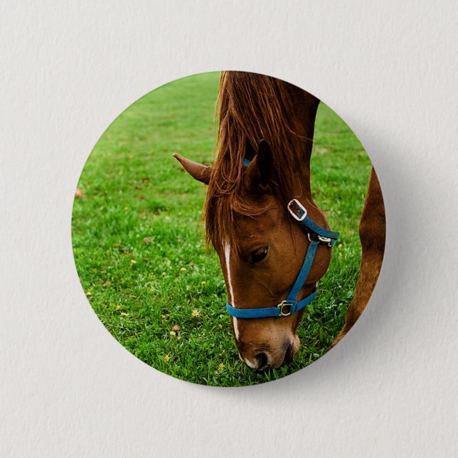 Grazing Chestnut with Stripe 6 Cm Round Badge (Front)