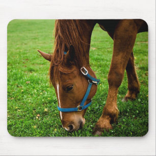 Grazing Chestnut with Stripe Mouse Pad