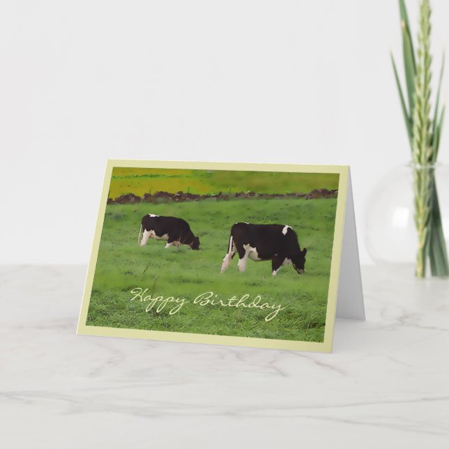 Grazing cows Birthday card (Front)