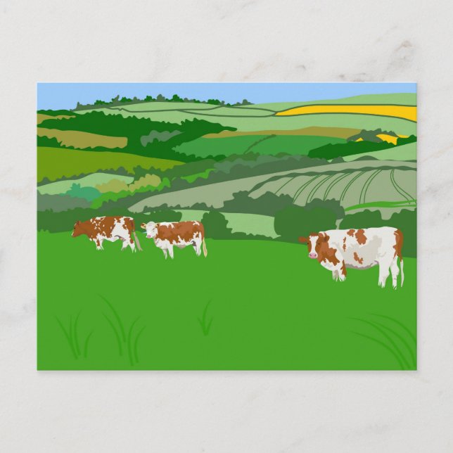 Grazing Cows Postcard (Front)