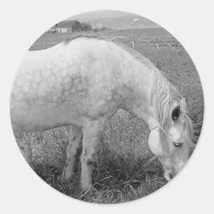 Grazing Dappled Grey Classic Round Sticker