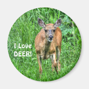 Grazing Deer & Grass Wildlife for Outdoor-lovers Magnet
