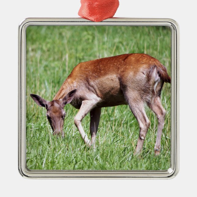 Grazing Deer Metal Tree Decoration (Front)