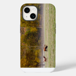 Grazing Elk Couple iPhone Case