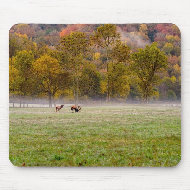 Grazing Elk Couple Mousepad (Front)