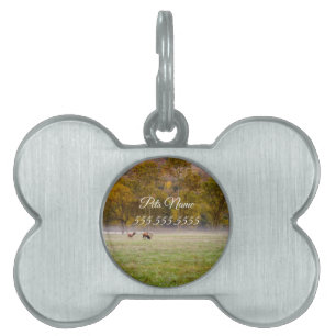 Grazing Elk Couple Pet Tag