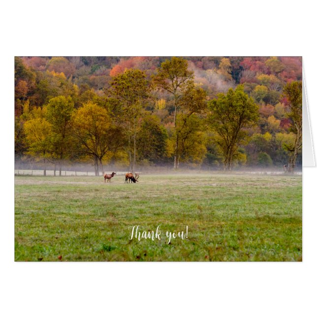 Grazing Elk Couple Thank You Card (Front Horizontal)