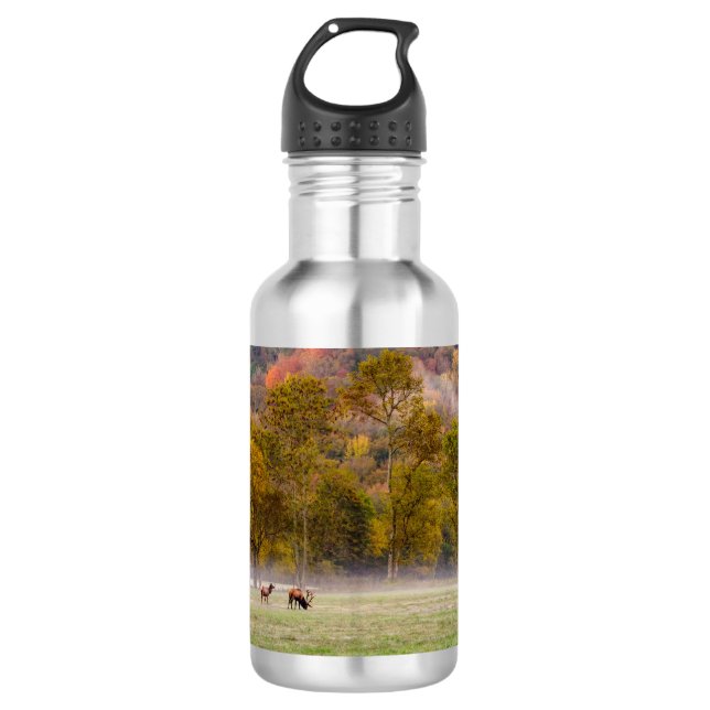 Grazing Elk Couple Water Bottle (Front)