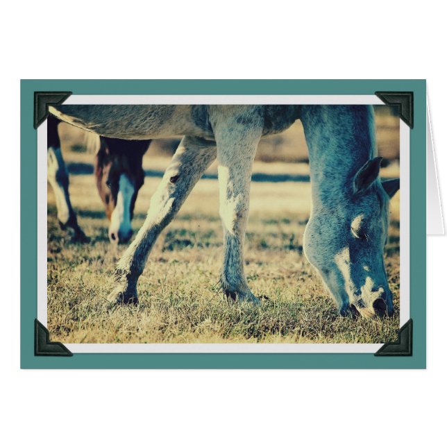 Grazing Equines (Front Horizontal)