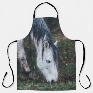 GRAZING GRAY HORSE ON AN AUTUMN’S DAY APRON