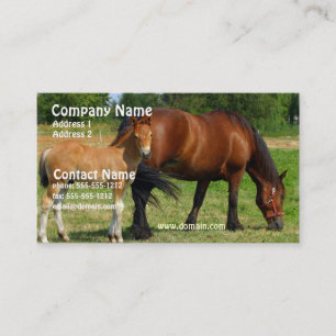 Grazing Horse Family Business Card