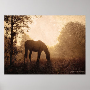 Grazing Horse on Foggy Morning Poster