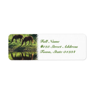 Grazing Horse Pair Mailing Label Return Address Label
