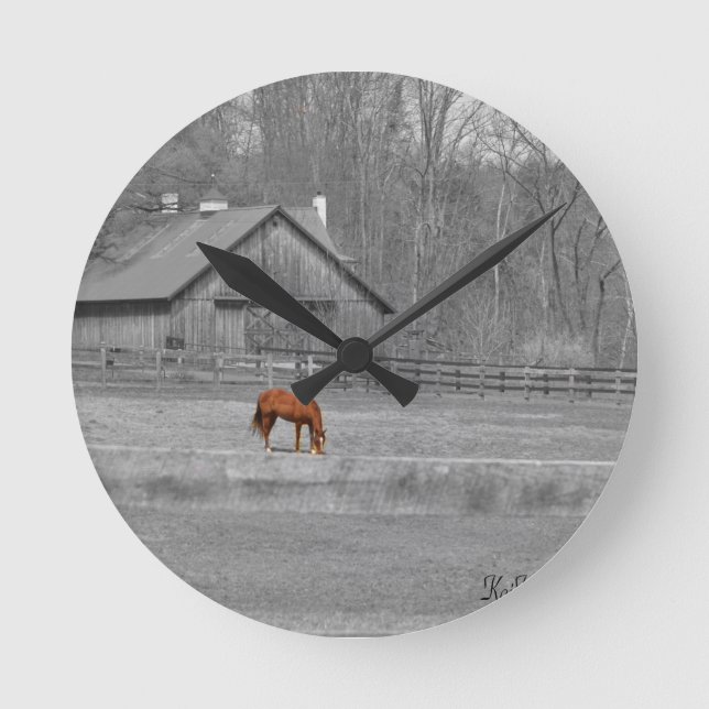 grazing horse round clock (Front)
