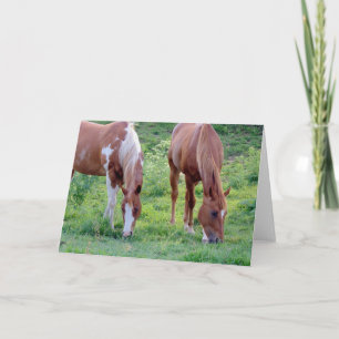 Grazing Horses All Occasions Card