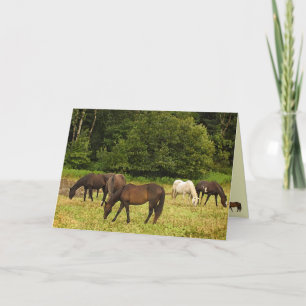 Grazing Horses Birthday Card
