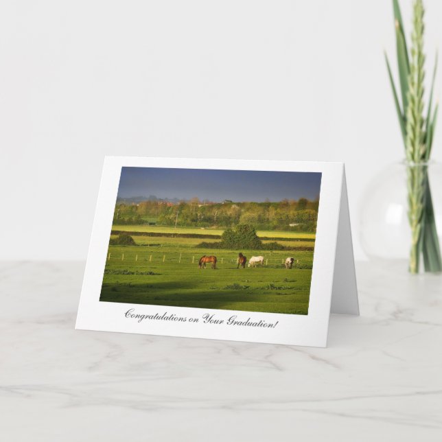 Grazing Horses - Congratulations on Graduating Card (Front)