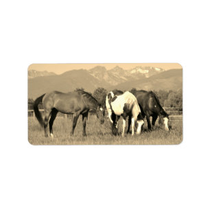 Grazing Horses in Montana Sepia Western Style Label