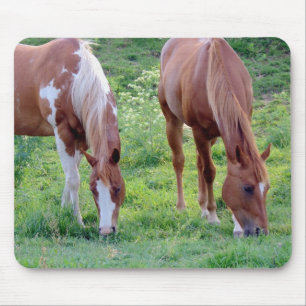 Grazing Horses Mouse Pad