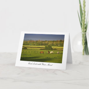 Grazing Horses / Ponies - Good Luck with Your Move Card