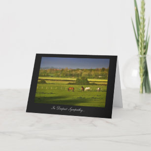 Grazing Horses / Ponies - In Deepest Sympathy Card