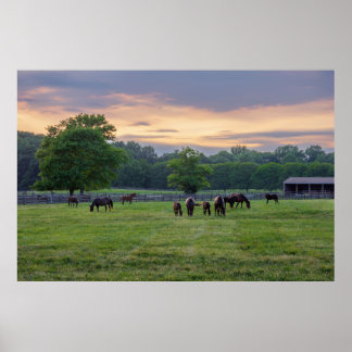 Grazing Horses Poster